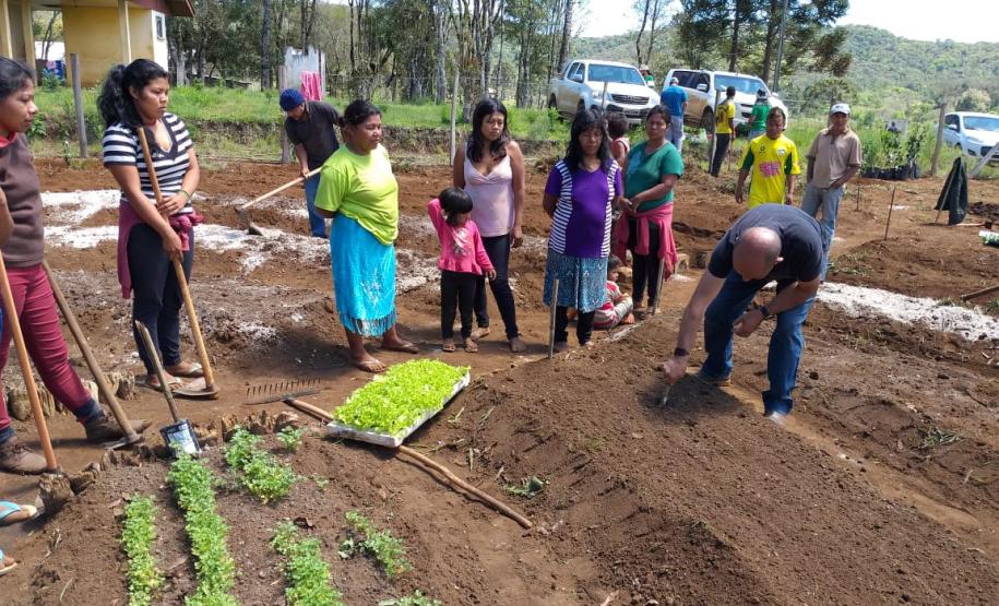 Projeto de Inclusão Produtiva Solidária desenvolverá ações coletivas com famílias rurais em situação de vulnerabilidade social