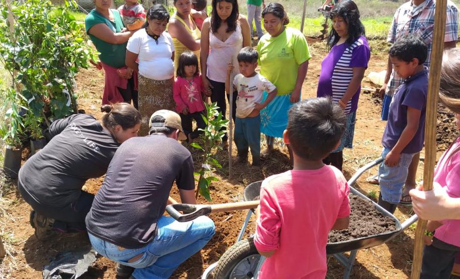 Projeto de Inclusão Produtiva Solidária desenvolverá ações coletivas com famílias rurais em situação de vulnerabilidade social