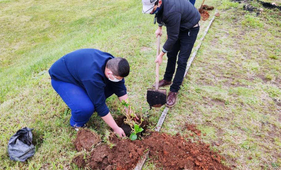 Centros de Socioeducação 1 de Londrina e de Ponta Grossa promovem atividades de horticultura e fruticultura
