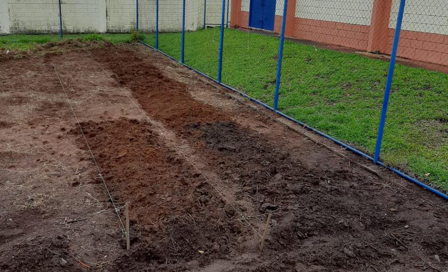 Centros de Socioeducação 1 de Londrina e de Ponta Grossa promovem atividades de horticultura e fruticultura