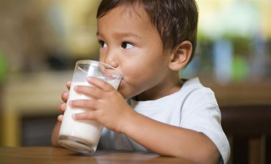 Secretaria da Justiça, Família e Trabalho e Cedca repassaram R$ 30 milhões para garantir o ‘Leite das Crianças’ em 2020