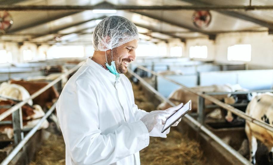 Agência do Trabalhador de Curitiba está atendendo online devido a pandemia