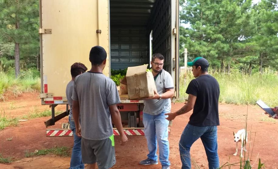Secretaria da Justiça, Cohapar e Paraná Edificações apresentam execução das ações do Nossa Gente Paraná aos representantes do BID