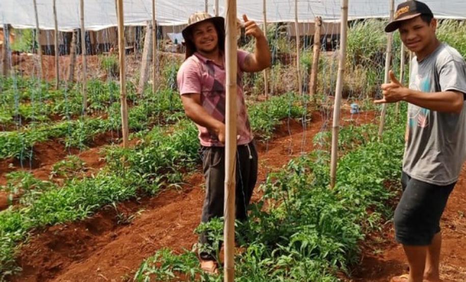 Governo beneficia mais de 5 mil famílias com o Programa Renda Agricultor das secretarias de Justiça e Família e de Agricultura
