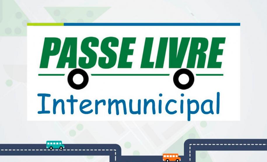 Secretaria de Justiça, Família e Trabalho promove treinamento para gestores municipais da assistência social sobre Operacionalização do Sistema Passe Livre