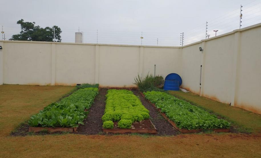 Secretaria de Justiça reforça investimentos no Departamento Socioeducativo para dar novas oportunidades aos adolescentes em conflito com a lei