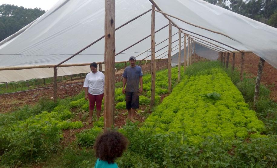 Renda Agricultor Familiar