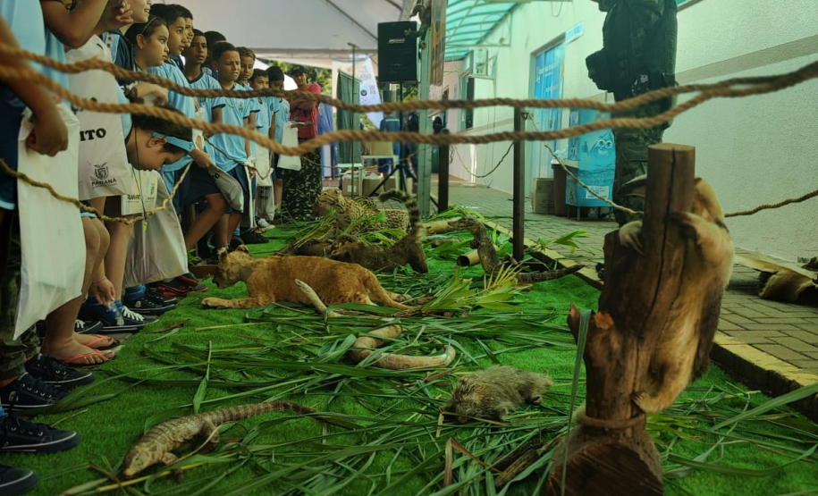 FEIRA DE serviços