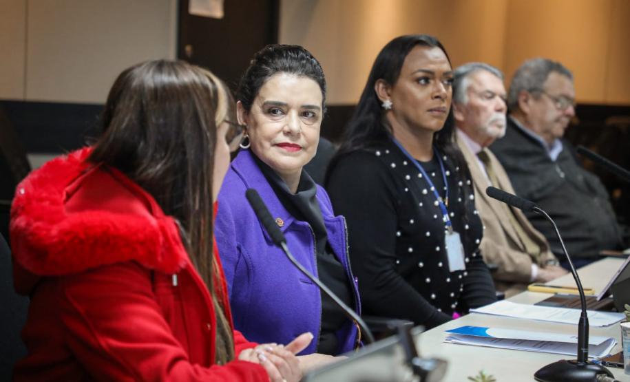 Estado dá posse a novos membros no Conselho Permanente dos Direitos Humanos do Paraná