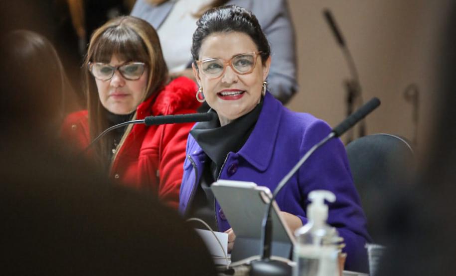 Estado dá posse a novos membros no Conselho Permanente dos Direitos Humanos do Paraná