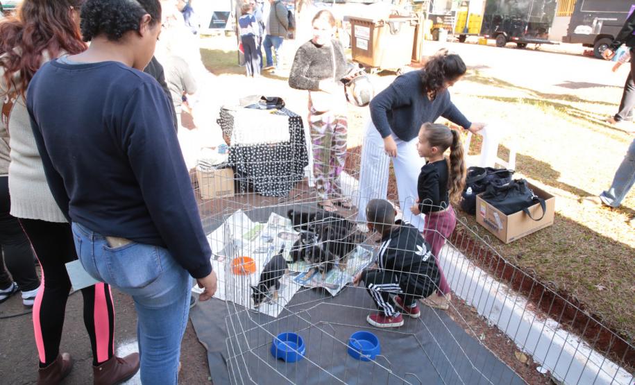 Paraná em Ação promove mais de 10 mil atendimentos em Londrina, maior número em dois anos
