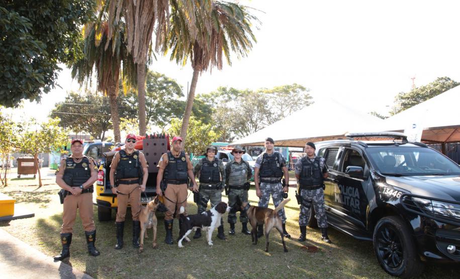 Paraná em Ação promove mais de 10 mil atendimentos em Londrina, maior número em dois anos