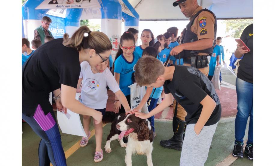 Paraná em Ação promove mais de 10 mil atendimentos em Londrina, maior número em dois anos