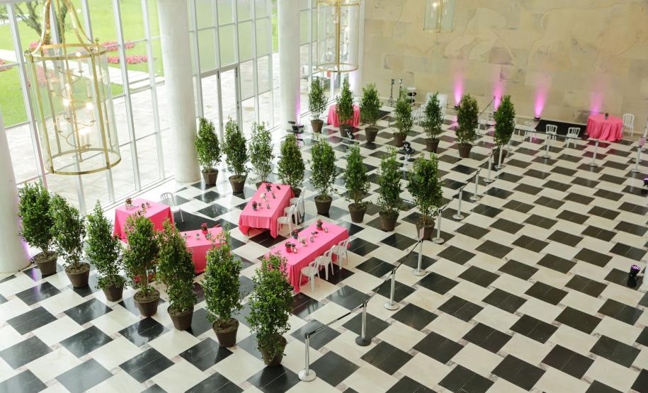 Paraná Rosa encerra com lançamento de edital para pesquisa voltado a mulheres com câncer de mama