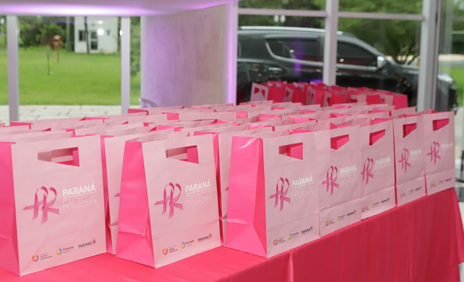Paraná Rosa encerra com lançamento de edital para pesquisa voltado a mulheres com câncer de mama