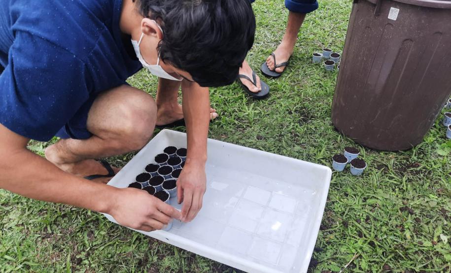 Projeto de cultivo de abelhas em Cense do Paraná é reconhecido em premiação do CNJ