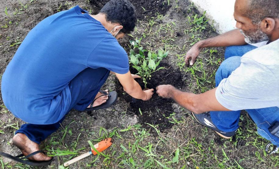 Projeto de cultivo de abelhas em Cense do Paraná é reconhecido em premiação do CNJ