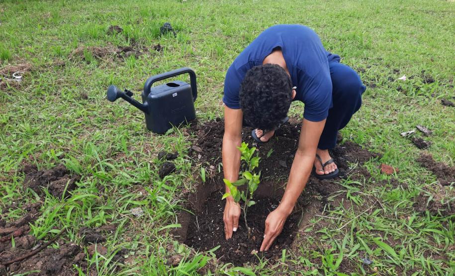 Projeto de cultivo de abelhas em Cense do Paraná é reconhecido em premiação do CNJ