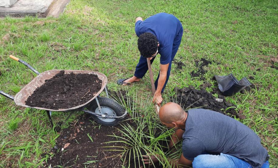 Projeto de cultivo de abelhas em Cense do Paraná é reconhecido em premiação do CNJ