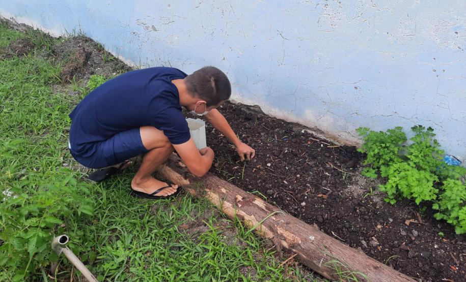 Projeto de cultivo de abelhas em Cense do Paraná é reconhecido em premiação do CNJ