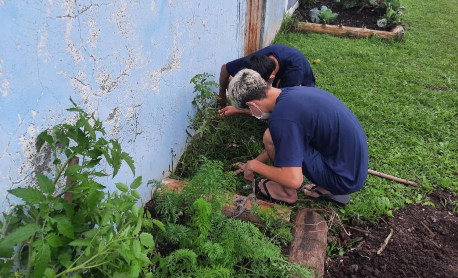 Projeto de cultivo de abelhas em Cense do Paraná é reconhecido em premiação do CNJ
