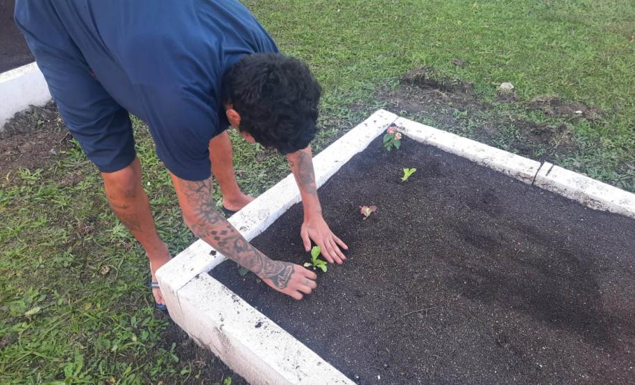 Projeto de cultivo de abelhas em Cense do Paraná é reconhecido em premiação do CNJ