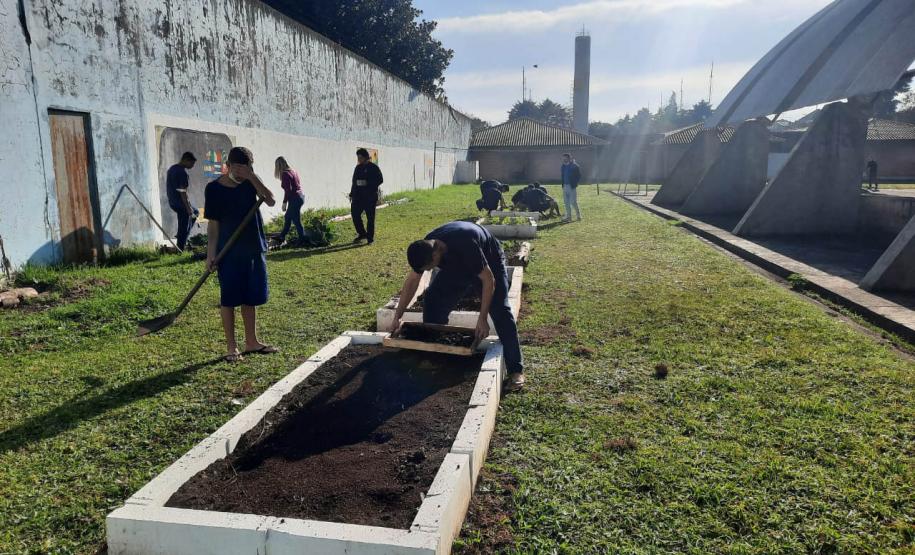 Projeto de cultivo de abelhas em Cense do Paraná é reconhecido em premiação do CNJ