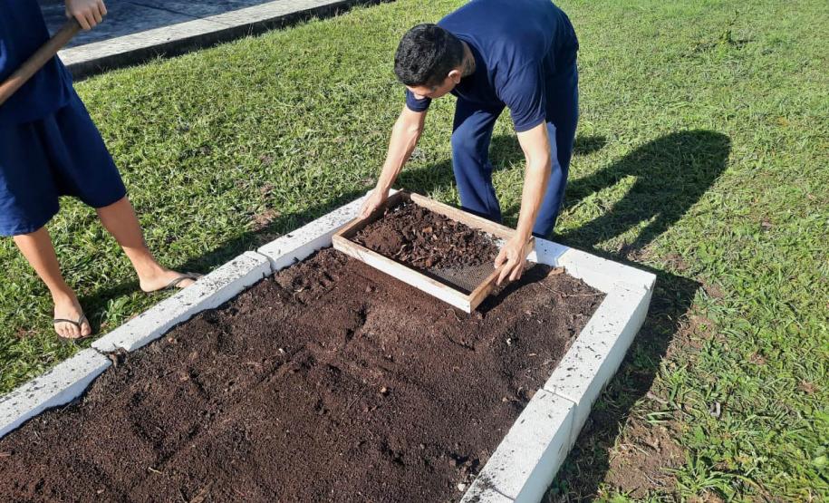 Projeto de cultivo de abelhas em Cense do Paraná é reconhecido em premiação do CNJ