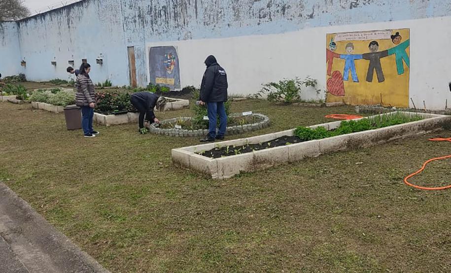 Projeto de cultivo de abelhas em Cense do Paraná é reconhecido em premiação do CNJ