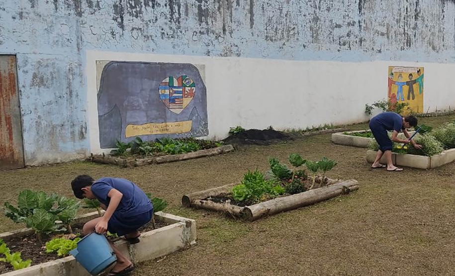 Projeto de cultivo de abelhas em Cense do Paraná é reconhecido em premiação do CNJ