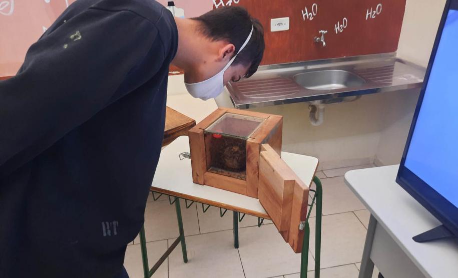 Projeto de cultivo de abelhas em Cense do Paraná é reconhecido em premiação do CNJ