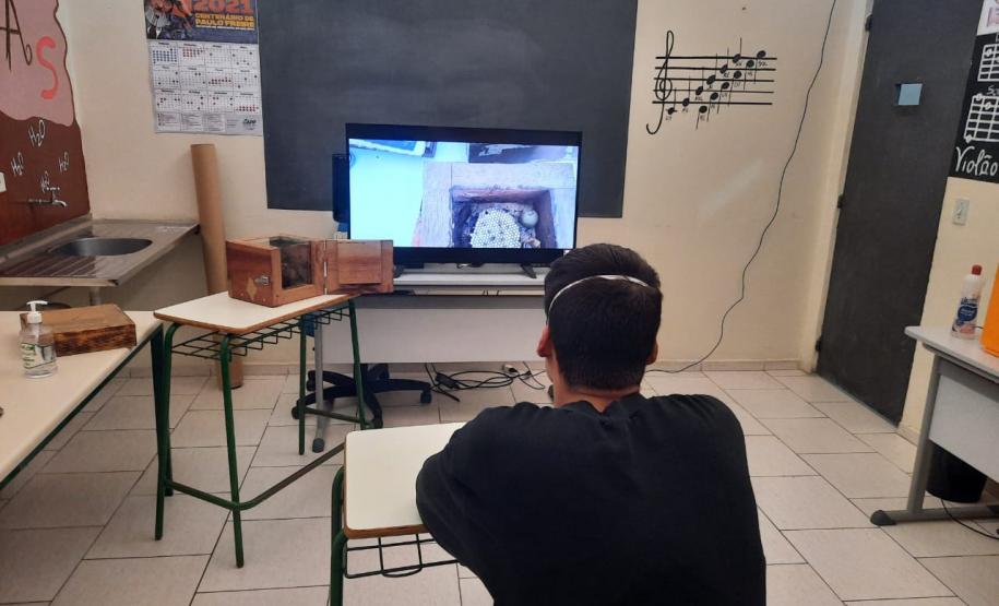 Projeto de cultivo de abelhas em Cense do Paraná é reconhecido em premiação do CNJ