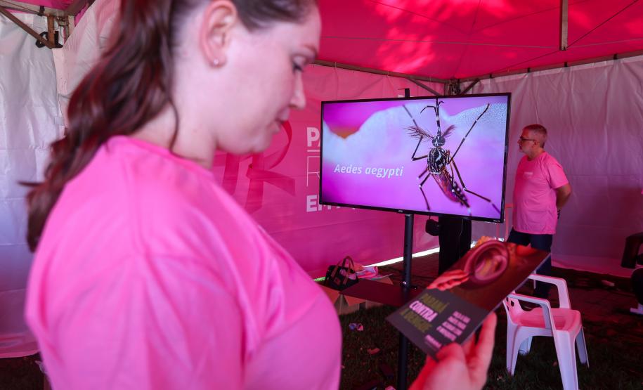 Paraná Rosa em Ação do Dia Internacional da Mulher será em Londrina