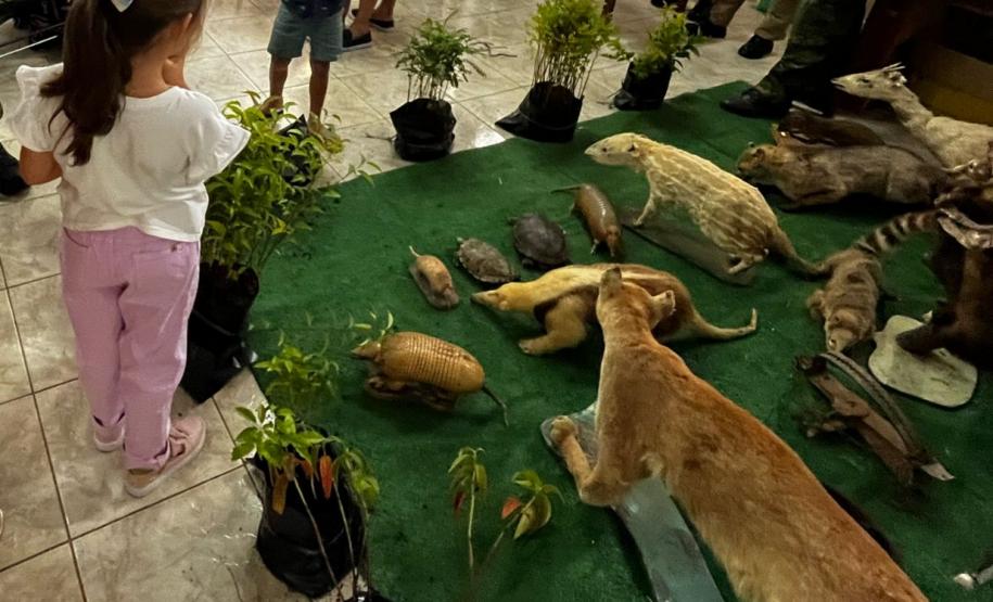 Paraná em Ação registra mais de 6 mil atendimentos em Palmeira